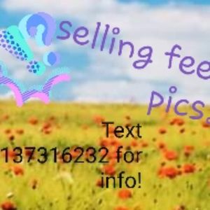 Meet your Posher, Harper